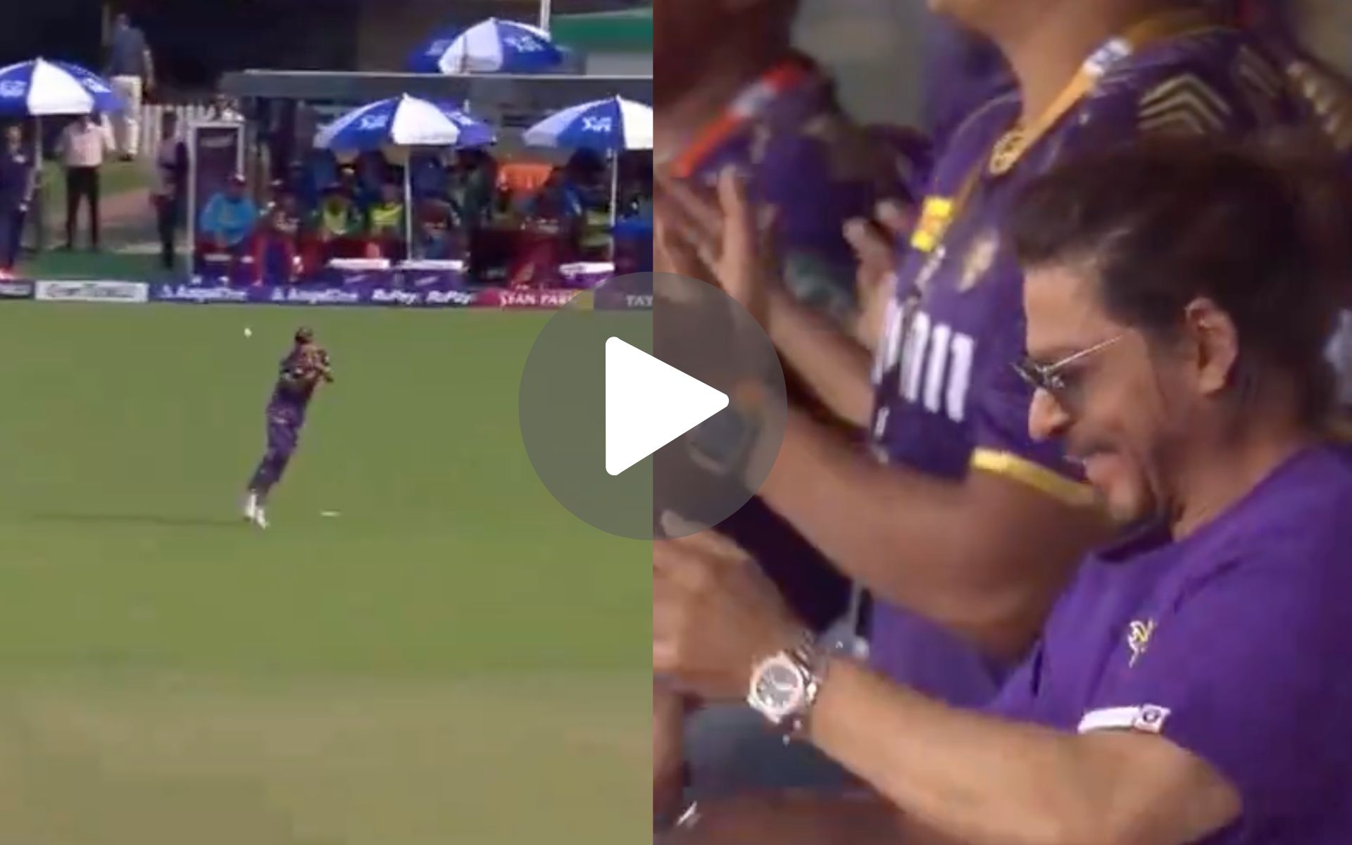 [Watch] SRK Cheers As Sunil Narine's 'Sharp & Easy' Catch Helps Remove Quinton de Kock Swiftly